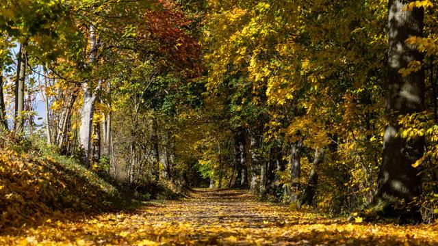 Ganzjahresstellen im Campingtourismus finden
