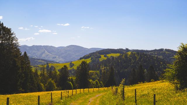 Arbeiten, wo andere Urlaub machen: Jobs im Schwarzwald
