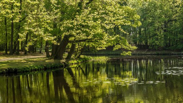 Frühling, Freiheit, Campingplatz: Dein Saisonjob wartet