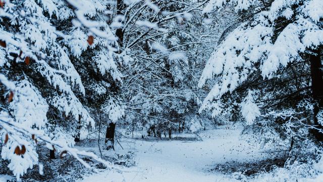 Mitarbeiterbindung im Saisongeschäft im Winter
